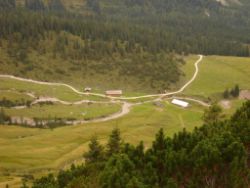2013-09-08_6Falkenh-Steinfalk (041).JPG